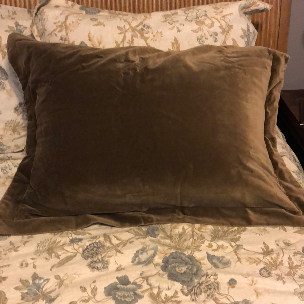 2 velvet shams